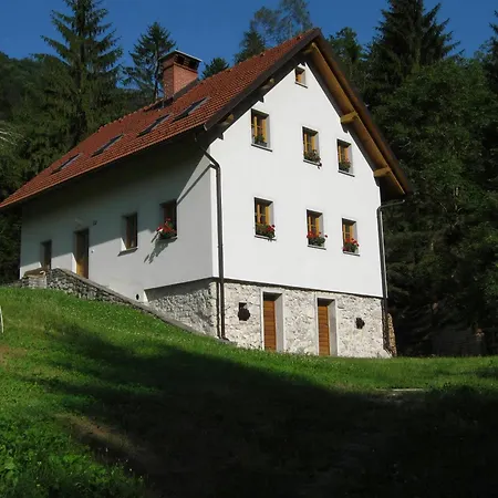 Holiday home Geraeumiges Inmitten Der Dolenja Trebusa